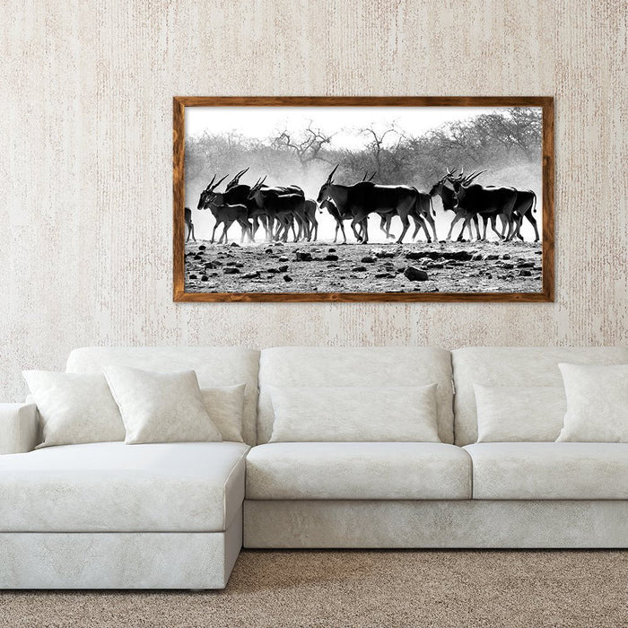 ELAND HERD