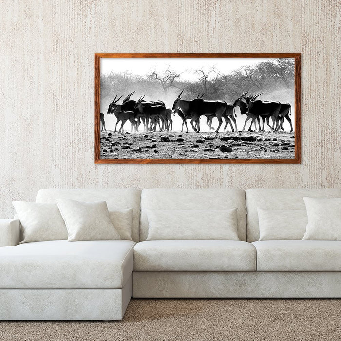 ELAND HERD