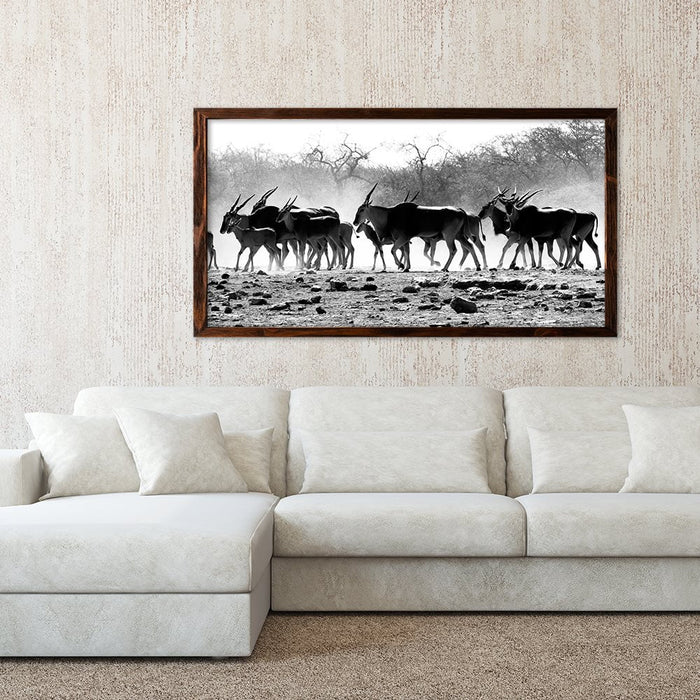 ELAND HERD