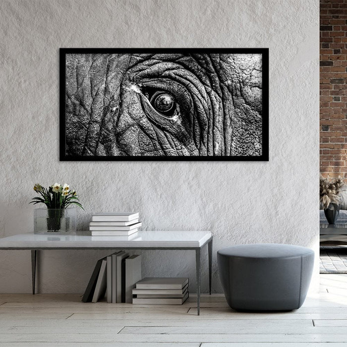 ELEPHANT EYE