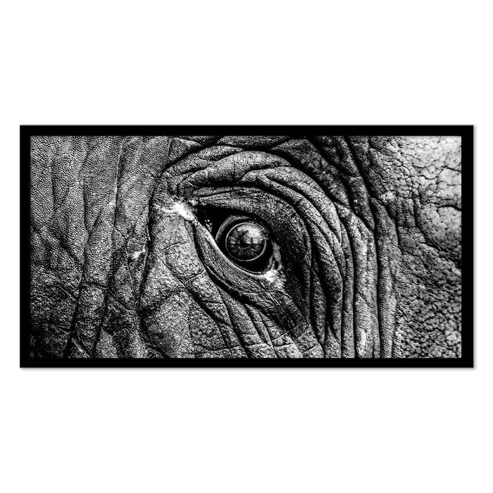 ELEPHANT EYE