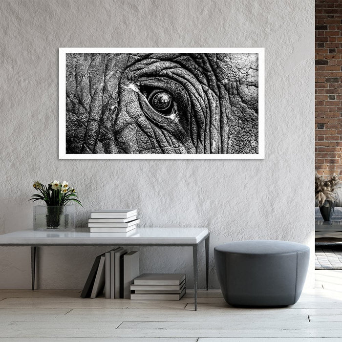 ELEPHANT EYE