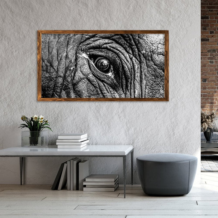 ELEPHANT EYE