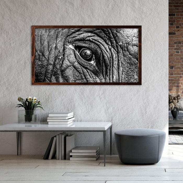 ELEPHANT EYE