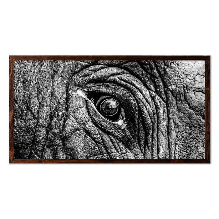 ELEPHANT EYE