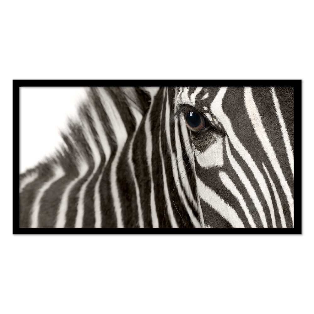 ZEBRA EYE