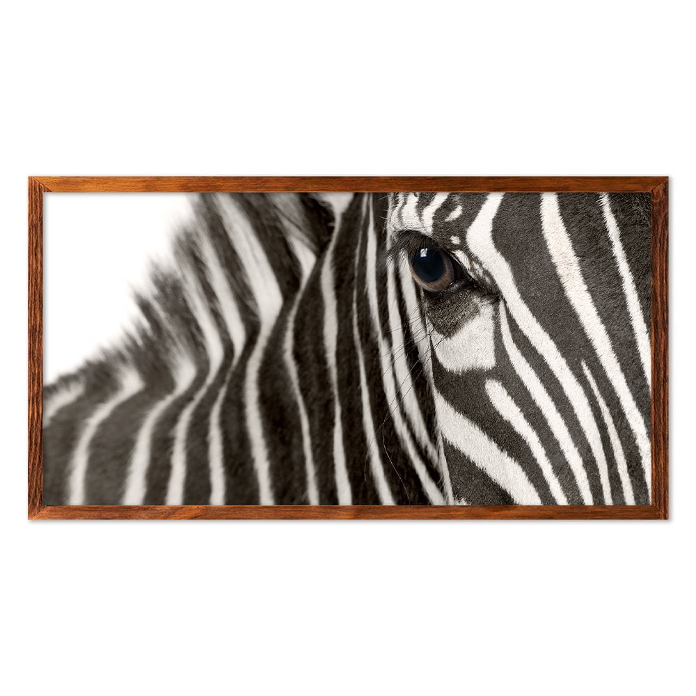 ZEBRA EYE