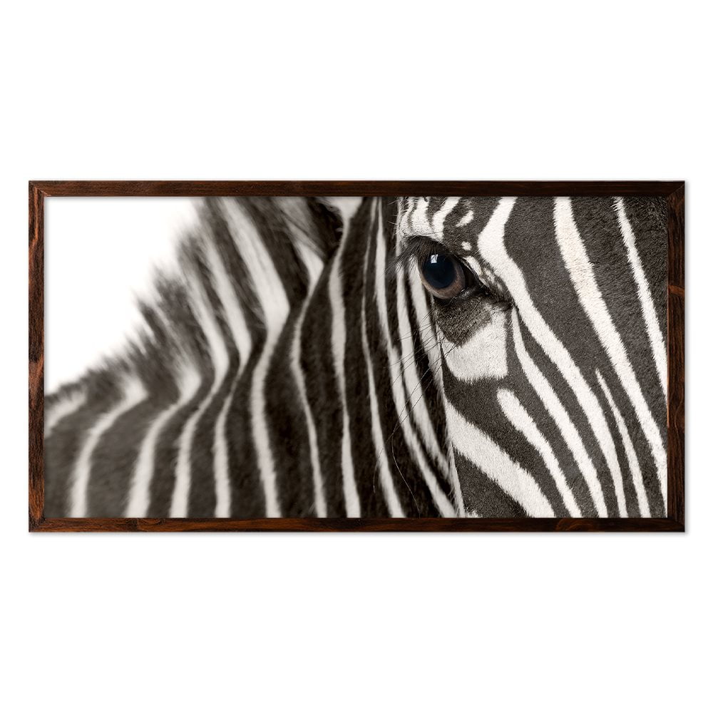 ZEBRA EYE