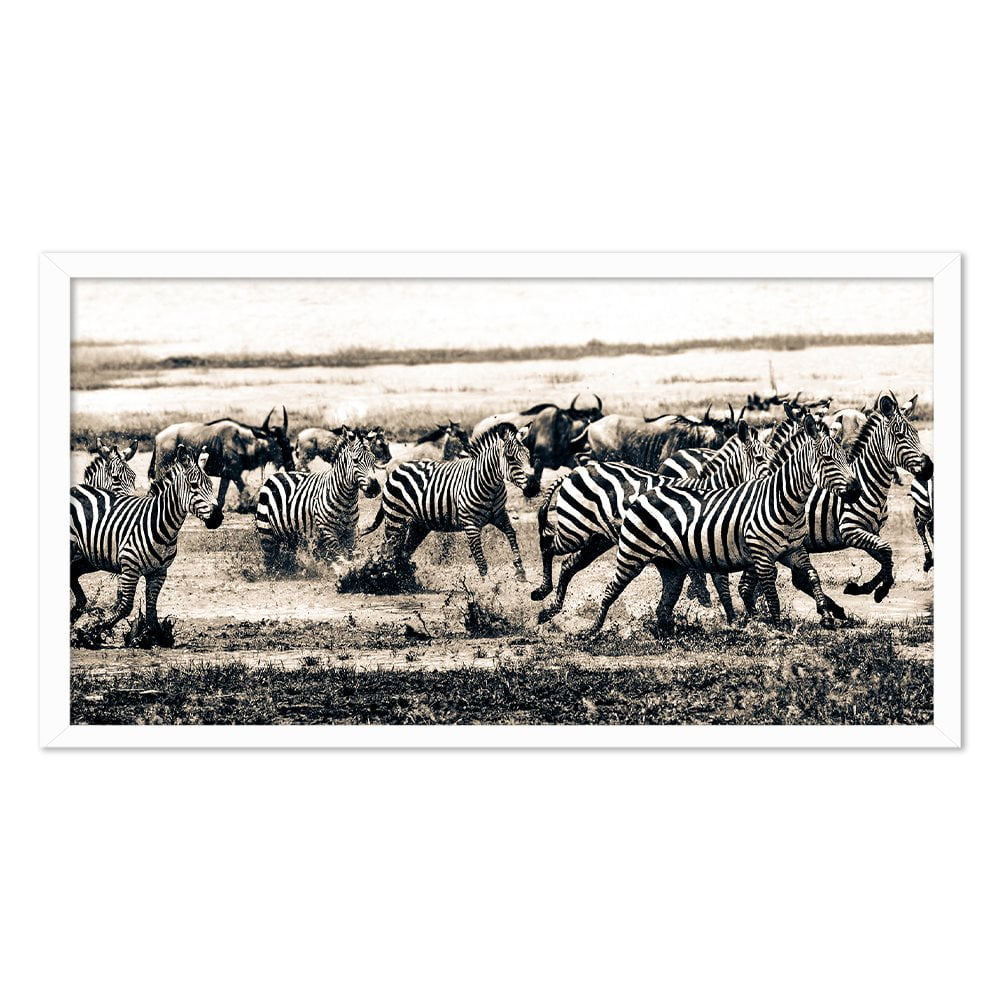 ZEBRA & WILDEBEEST
