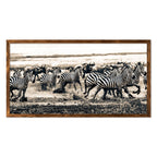 ZEBRA & WILDEBEEST