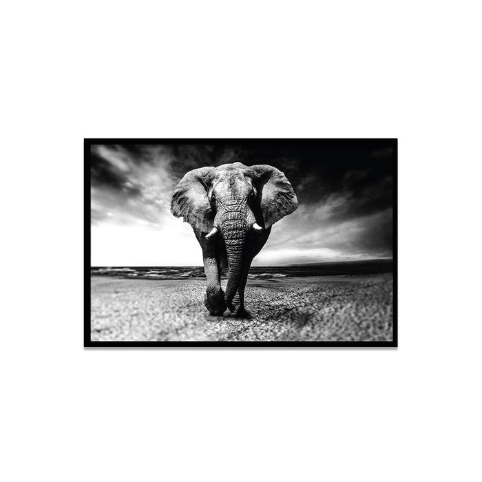 Composite Framed Canvas 80x100 Elephant