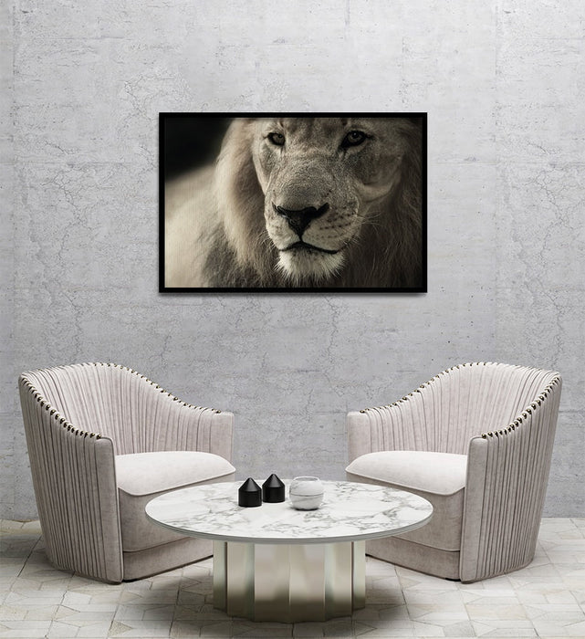 Composite Framed Canvas 80x100 Lion