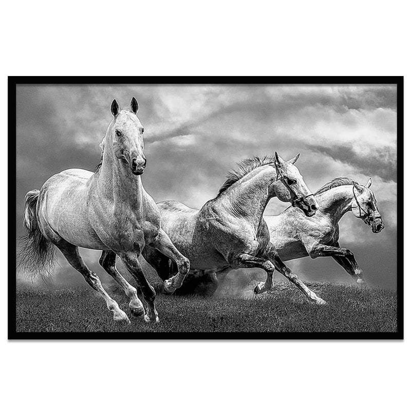 Composite Framed Canvas 80x100 TWO HORSES