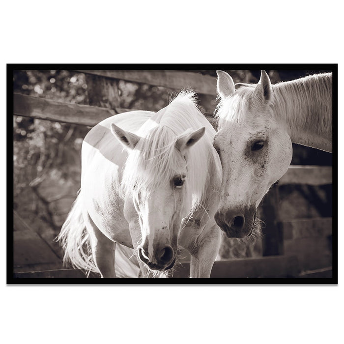 Composite Framed Canvas 80x100 TWO HORSES