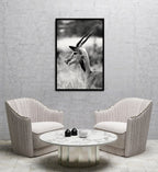 Composite Framed Canvas 80x100 SPRINGBOK