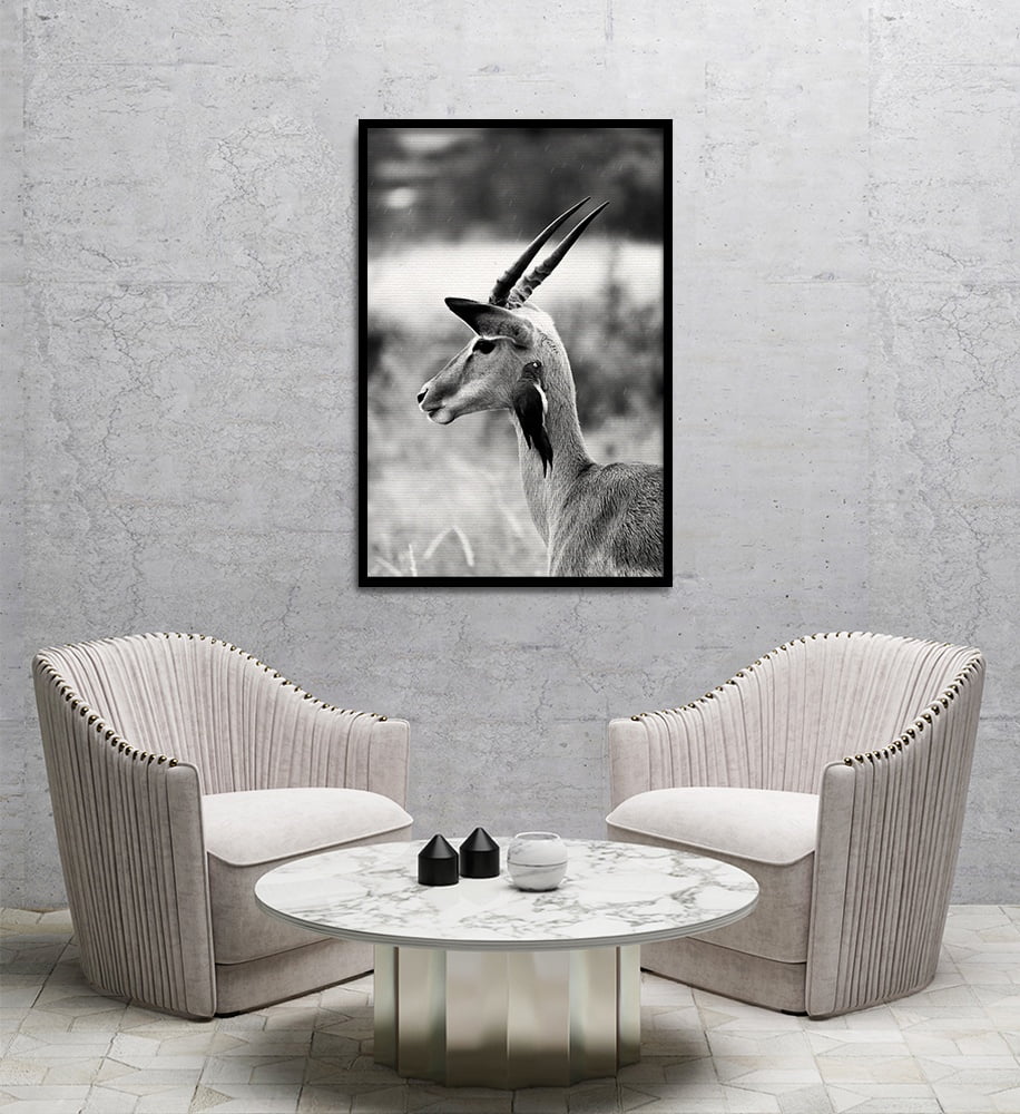 Composite Framed Canvas 80x100 SPRINGBOK