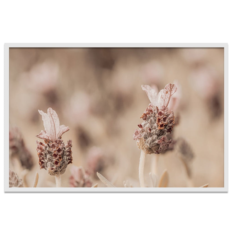 Composite Framed Canvas 80X100 AUTUMN DAZE