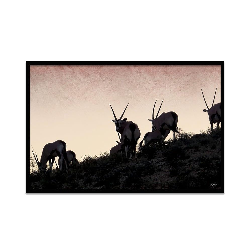 Composite Framed Canvas 80x100 Gemsbok Hill
