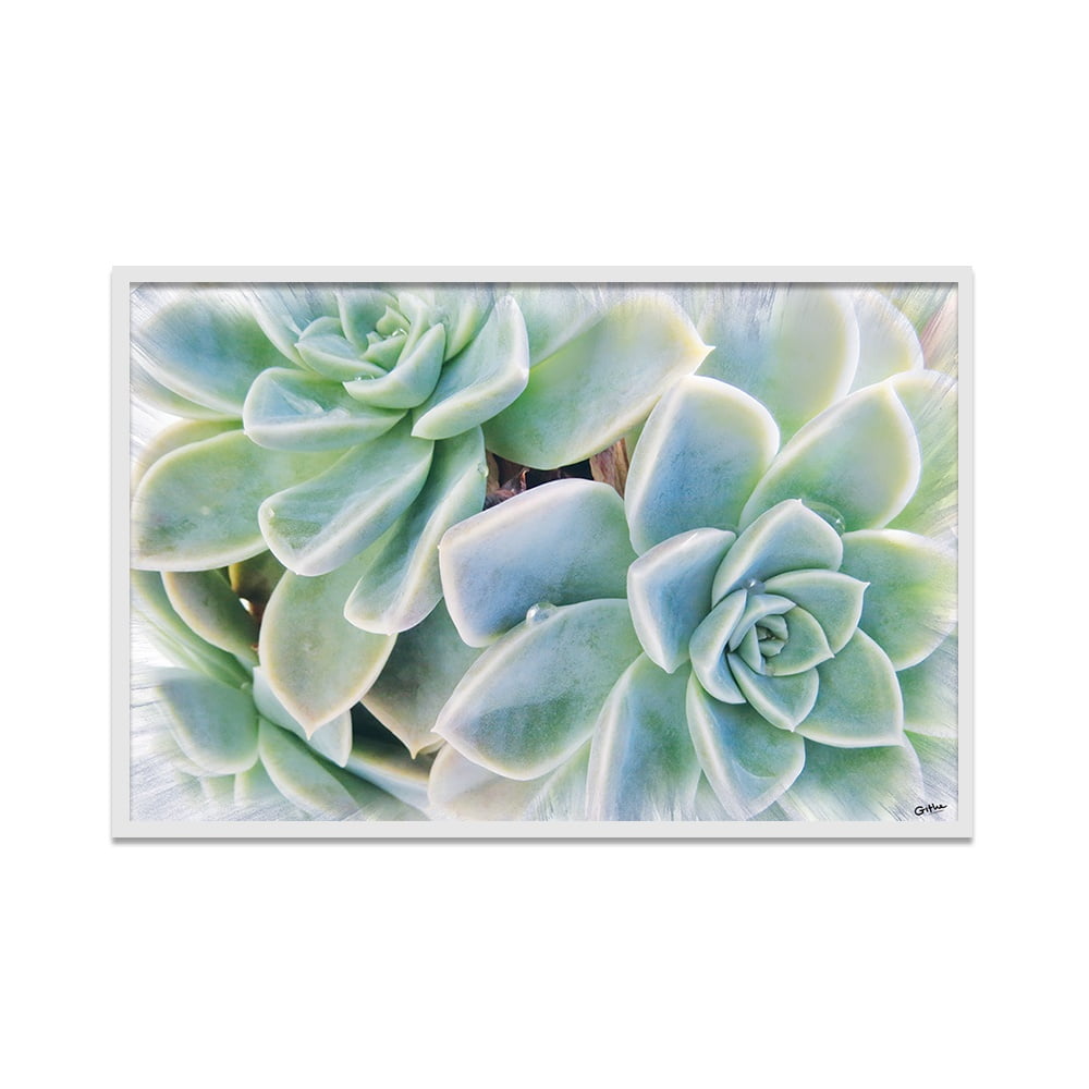 Composite Framed Canvas 80x100 Succulent Colour Burst