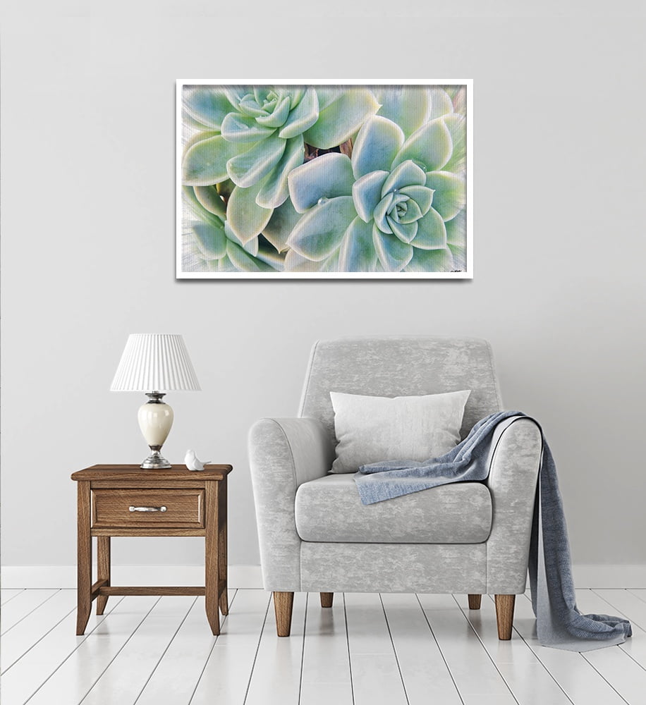 Composite Framed Canvas 80x100 Succulent Colour Burst