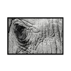 Composite Framed Canvas 80x100 Elephant Eye