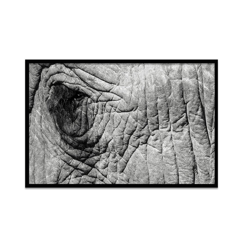 Composite Framed Canvas 80x100 Elephant Eye