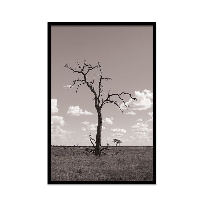 Composite Framed Canvas 80x100 Tree and Clouds