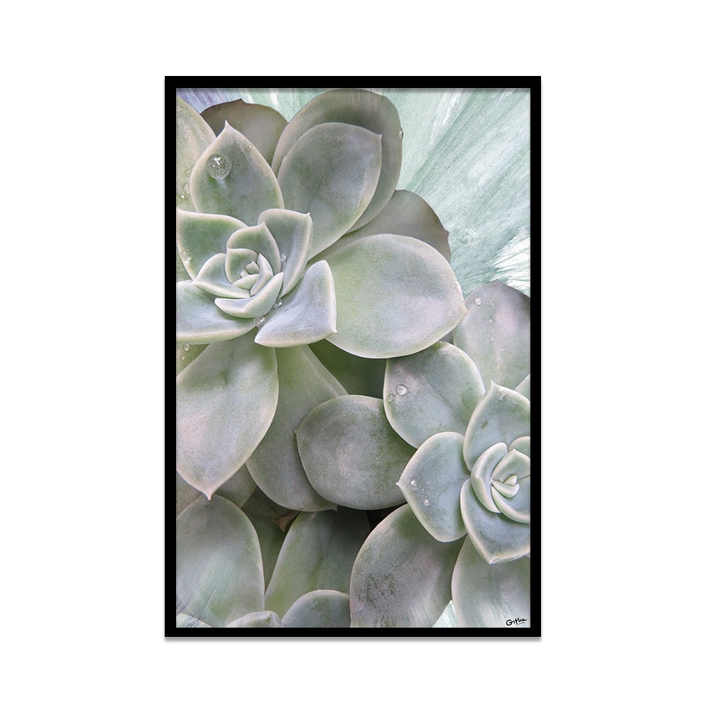 Composite Framed Canvas 80x100 Vetplant with Water drops