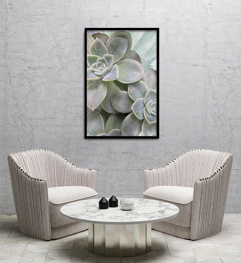 Composite Framed Canvas 80x100 Vetplant with Water drops