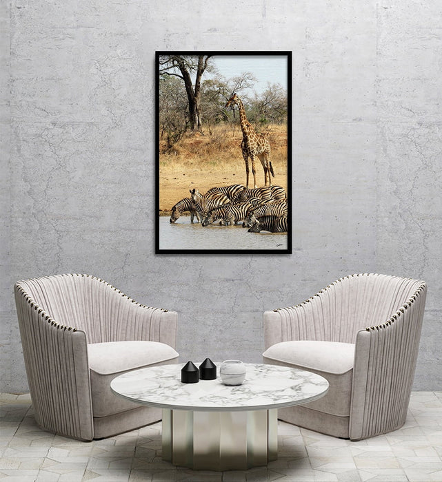 Composite Framed Canvas 80x100 Zebra and Giraffe
