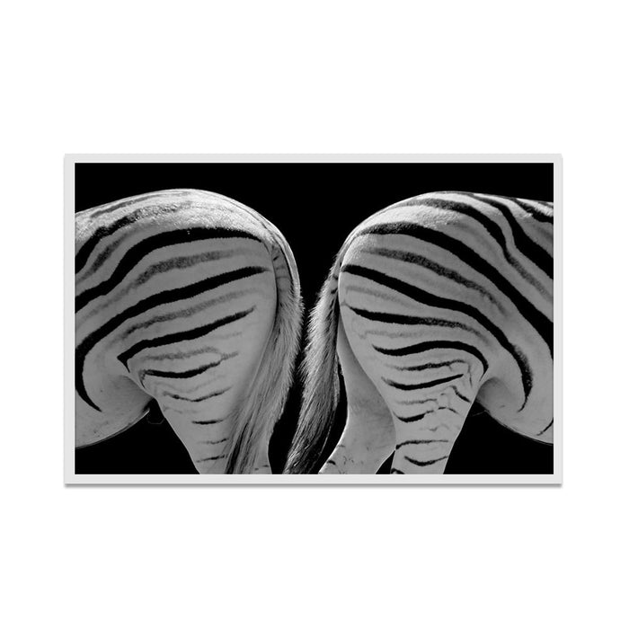 Composite Framed Canvas 80x100 Zebra tail to tail