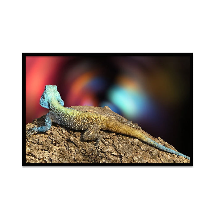 Composite Framed Canvas 80x100 Tree Lizzard