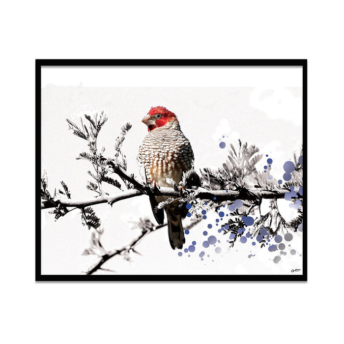 Composite Framed Canvas 80x100 Bird with red head