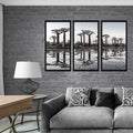 BAOBAB TREE 3 PIECE COMPOSITE FRAMED CANVAS COLLAGES