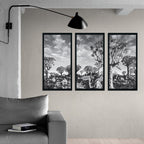 BAOBAB TREE layout 3 PIECE COMPOSITE FRAMED CANVAS COLLAGES