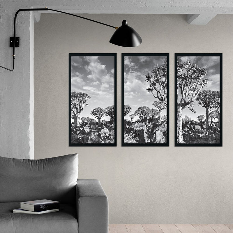 BAOBAB TREE layout 3 PIECE COMPOSITE FRAMED CANVAS COLLAGES