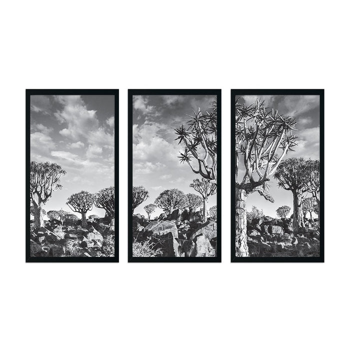 BAOBAB TREE layout 3 PIECE COMPOSITE FRAMED CANVAS COLLAGES
