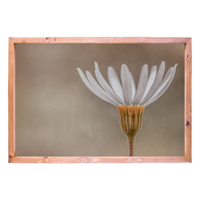 Composite Framed Canvas 100x150 MORNING FLOWER