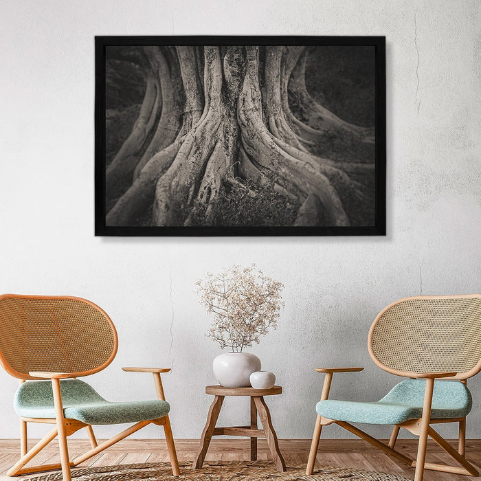 Composite Framed Canvas 100x150 MISTY FIG TREE ROOTS