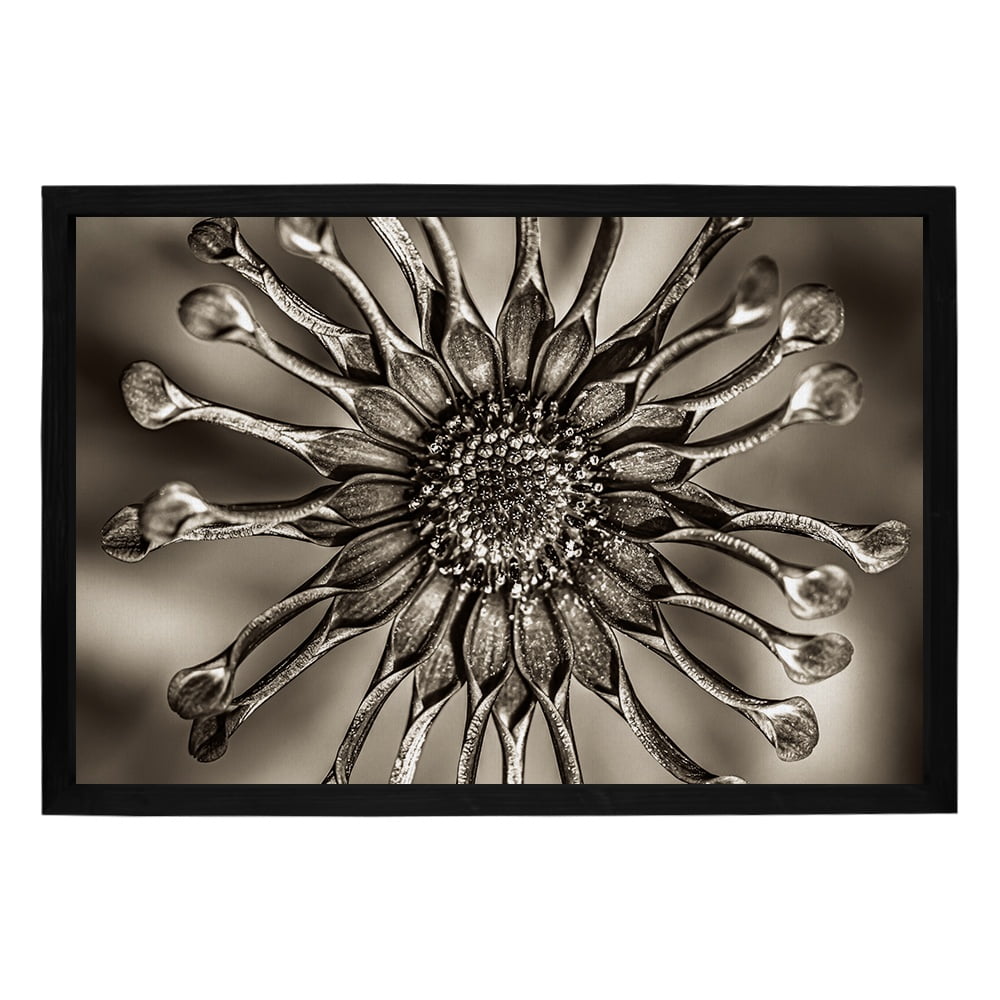 Composite Framed Canvas 100x150 SUN DIAL FLOWER