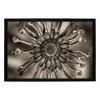 Composite Framed Canvas 100x150 SUN DIAL FLOWER