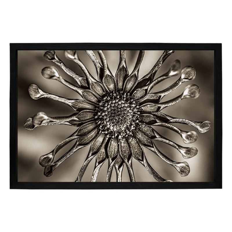 Composite Framed Canvas 100x150 SUN DIAL FLOWER