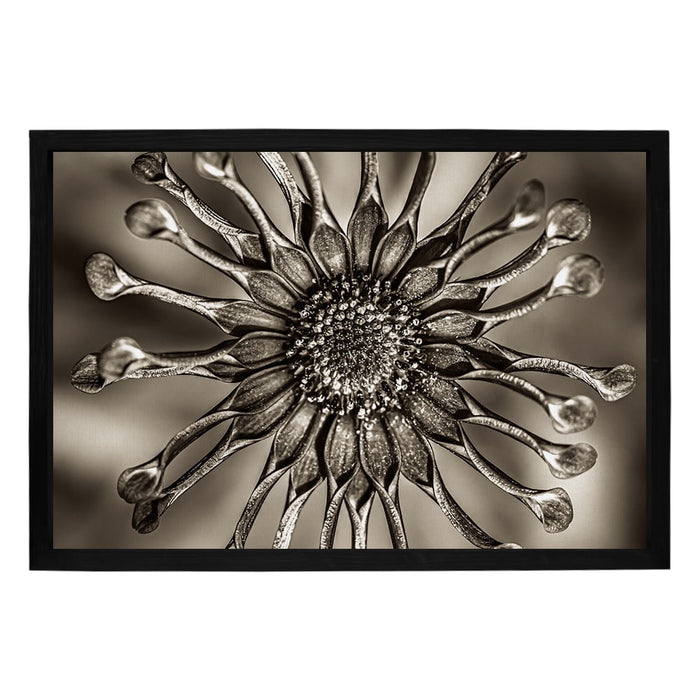 Composite Framed Canvas 100x150 SUN DIAL FLOWER