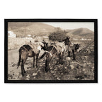 Composite Framed Canvas 100x150 RURAL HORSES
