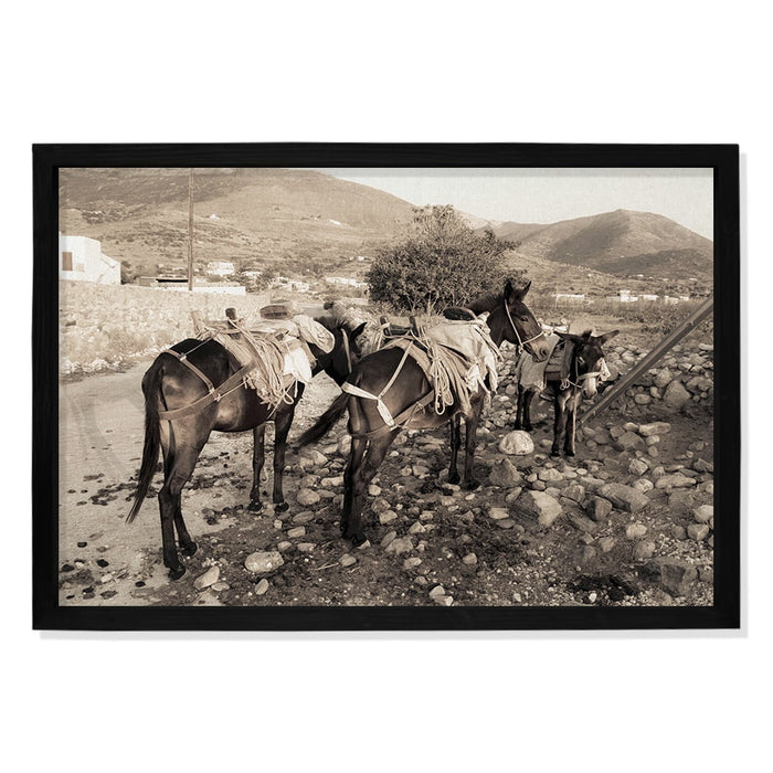 Composite Framed Canvas 100x150 RURAL HORSES