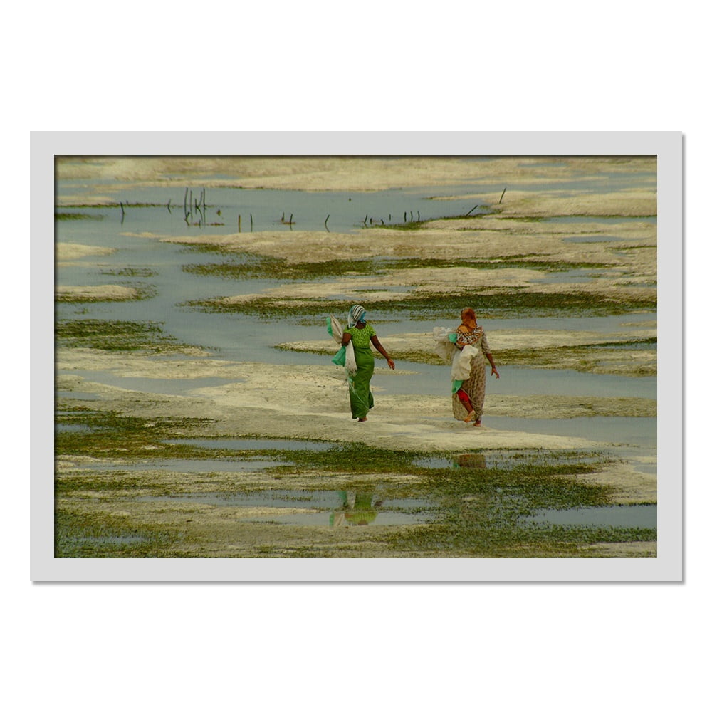 Composite Framed Canvas 100x150 2 LADIES WETLANDS