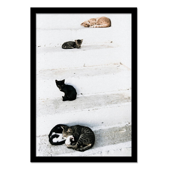 Composite Framed Canvas 100x150 STAIRS KITTENS