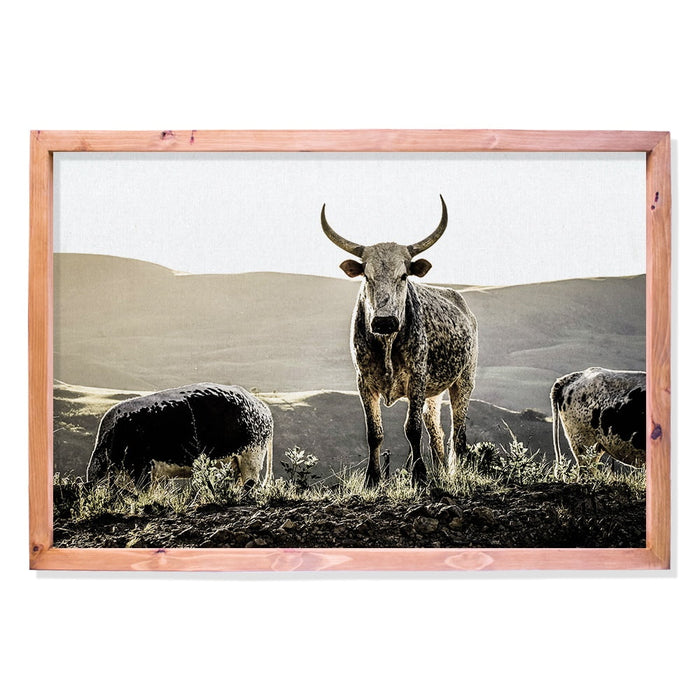 Composite Framed Canvas 100x150 NGUNI HILLS