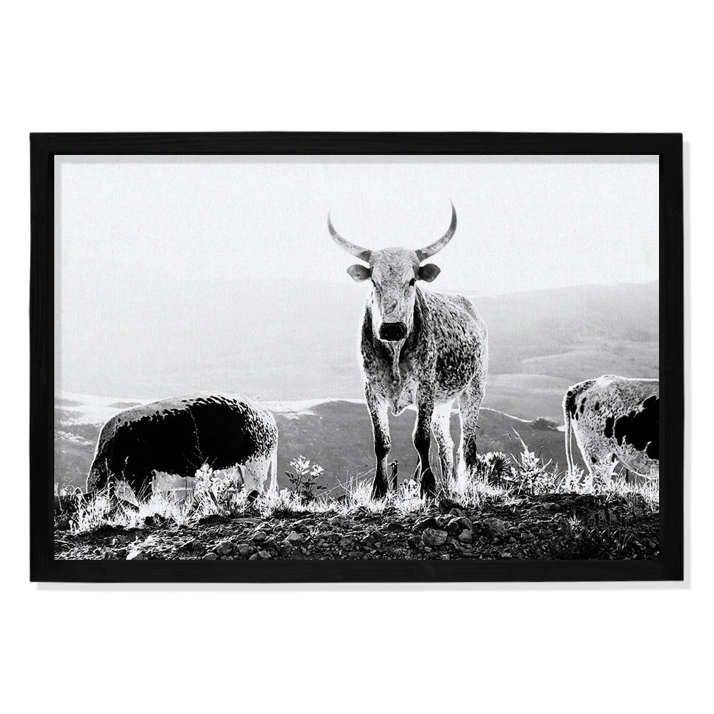 Composite Framed Canvas 100x150 NGUNI HILLS BLACK & WHITE