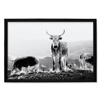 Composite Framed Canvas 100x150 NGUNI HILLS BLACK & WHITE